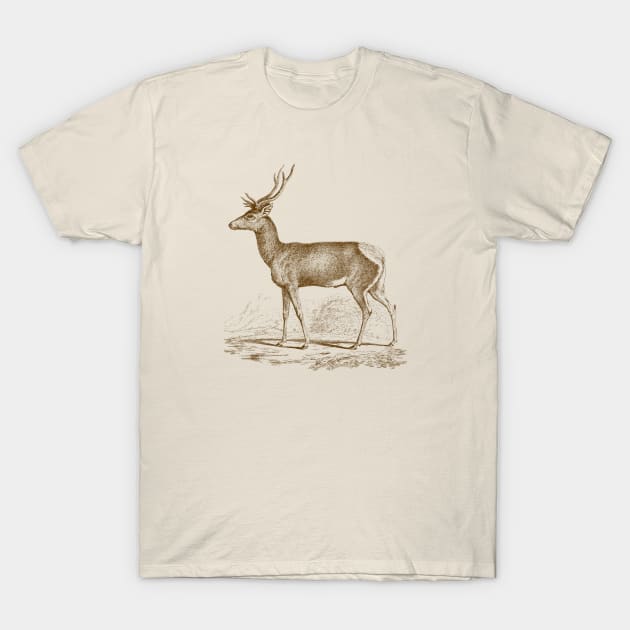 Deer Monochrome Vintage Wildlife Illustration T-Shirt by Biophilia